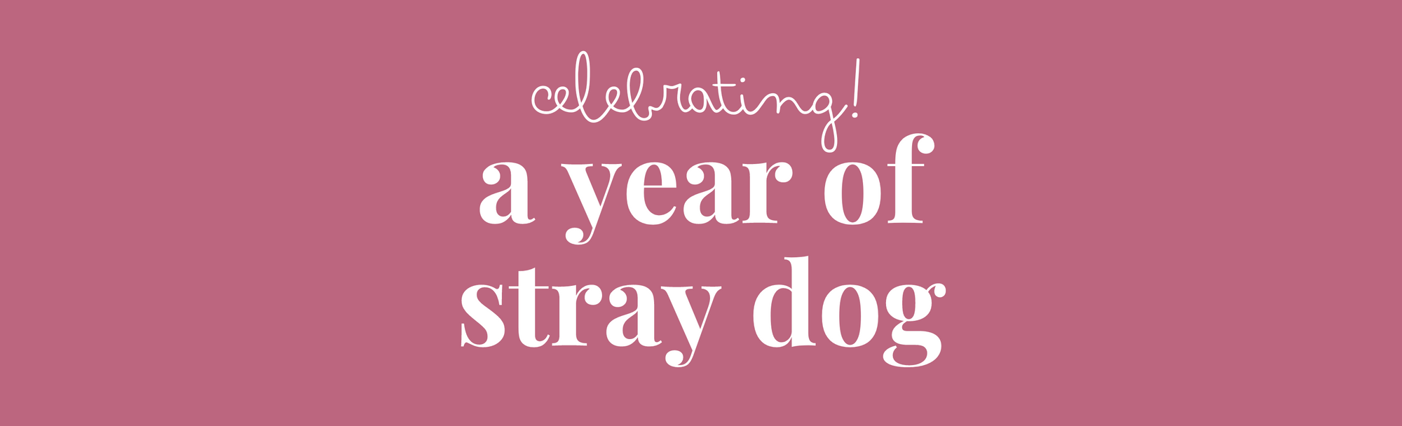 Stray Dog Year in Review