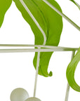 Peapod Lantern - Sneak Peek Treats