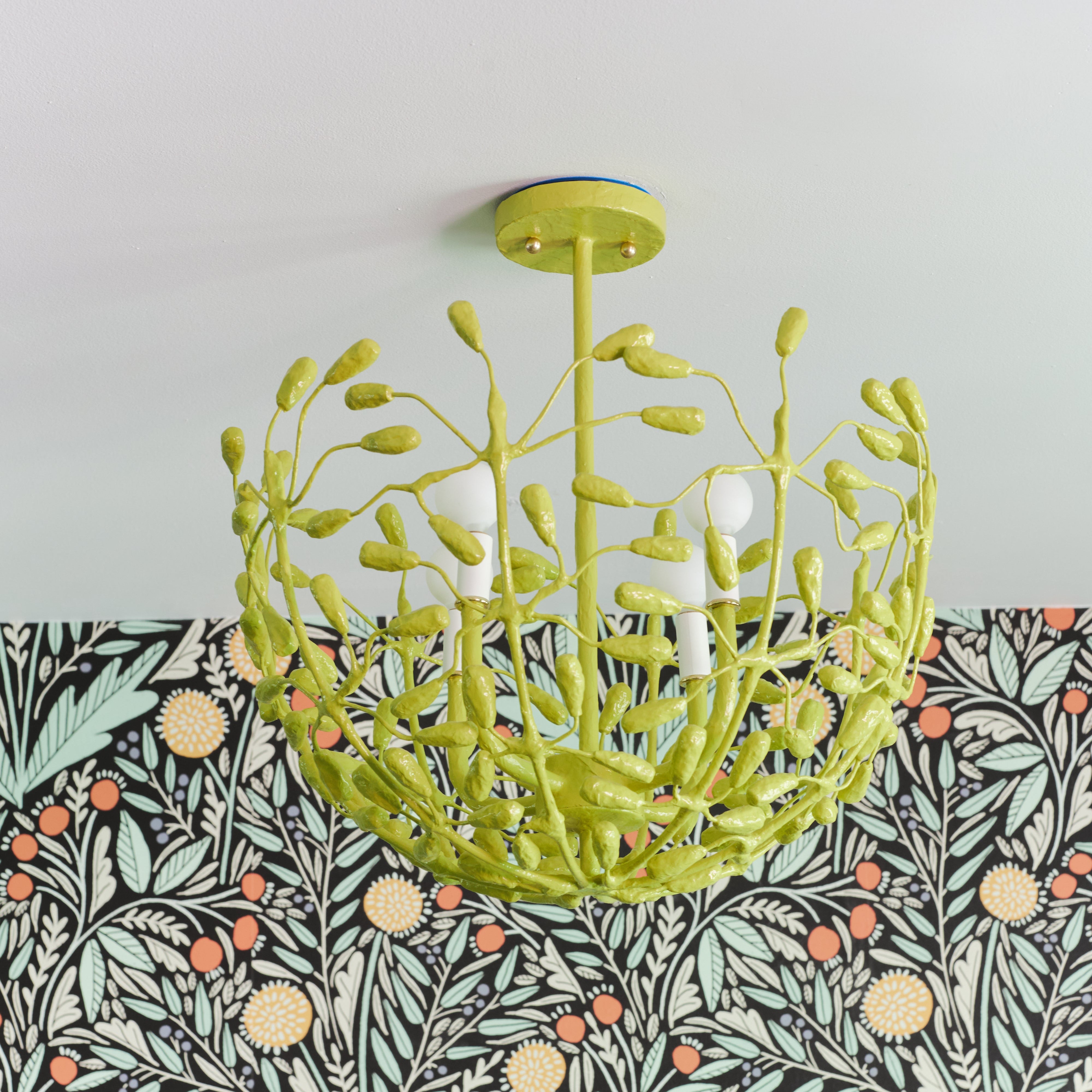 StrayDog_April2025_edna_flushm