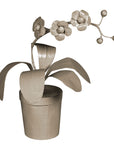 Potted Orchid in papier mache painted gray