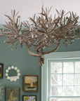 Olive Chandelier