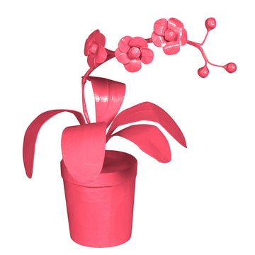 Pink Potted Orchid by Stray Dog Designs