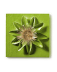 Passion Flower Wall Tile by Stray Dog designs