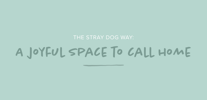 The Stray Dog Way: A Joyful Space to Call Home