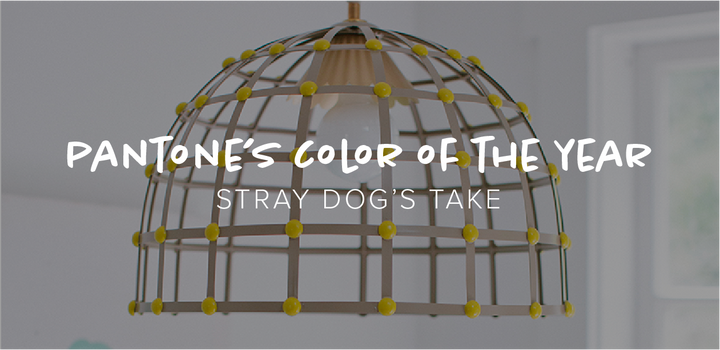 Pantone's Color of the Year: Stray Dog's Take