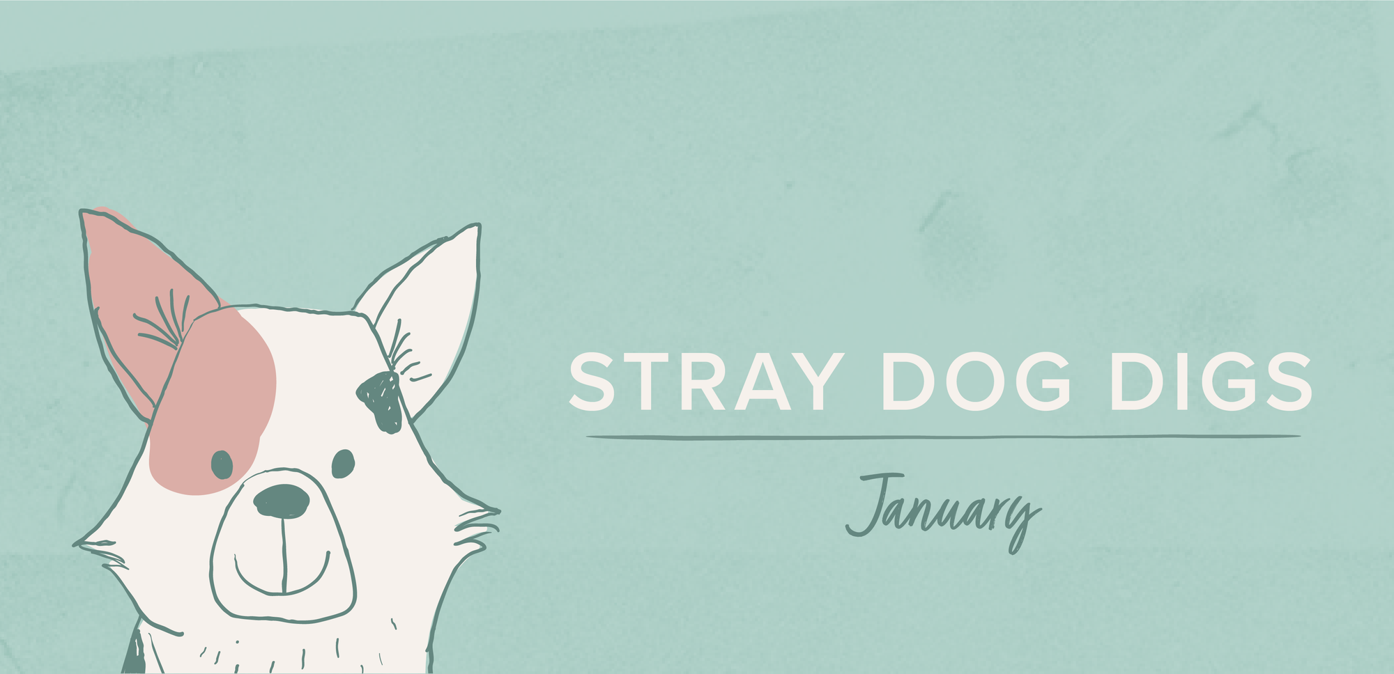 Stray Dog Digs: January