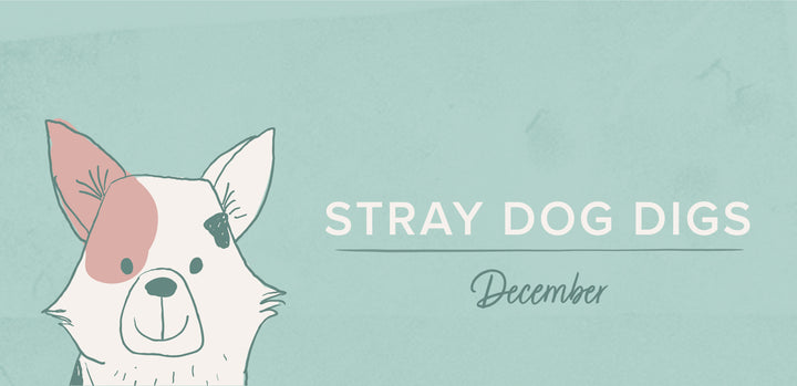 Stray Dog Digs: December
