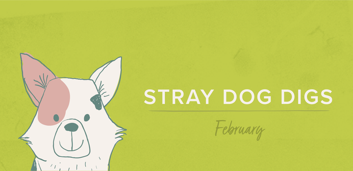 Stray Dog Digs: February