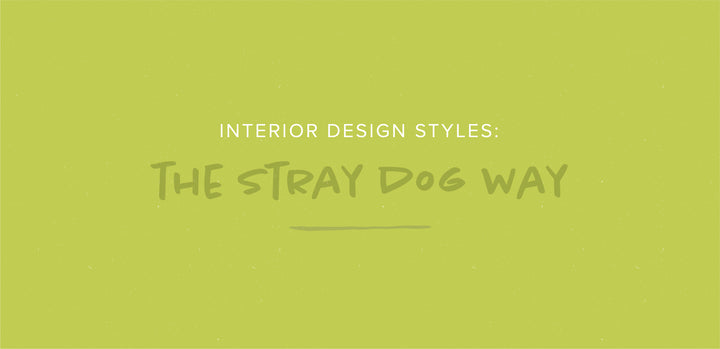 Interior Design Styles: The Stray Dog Way