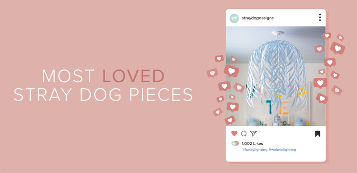 Most Loved Stray Dog Pieces