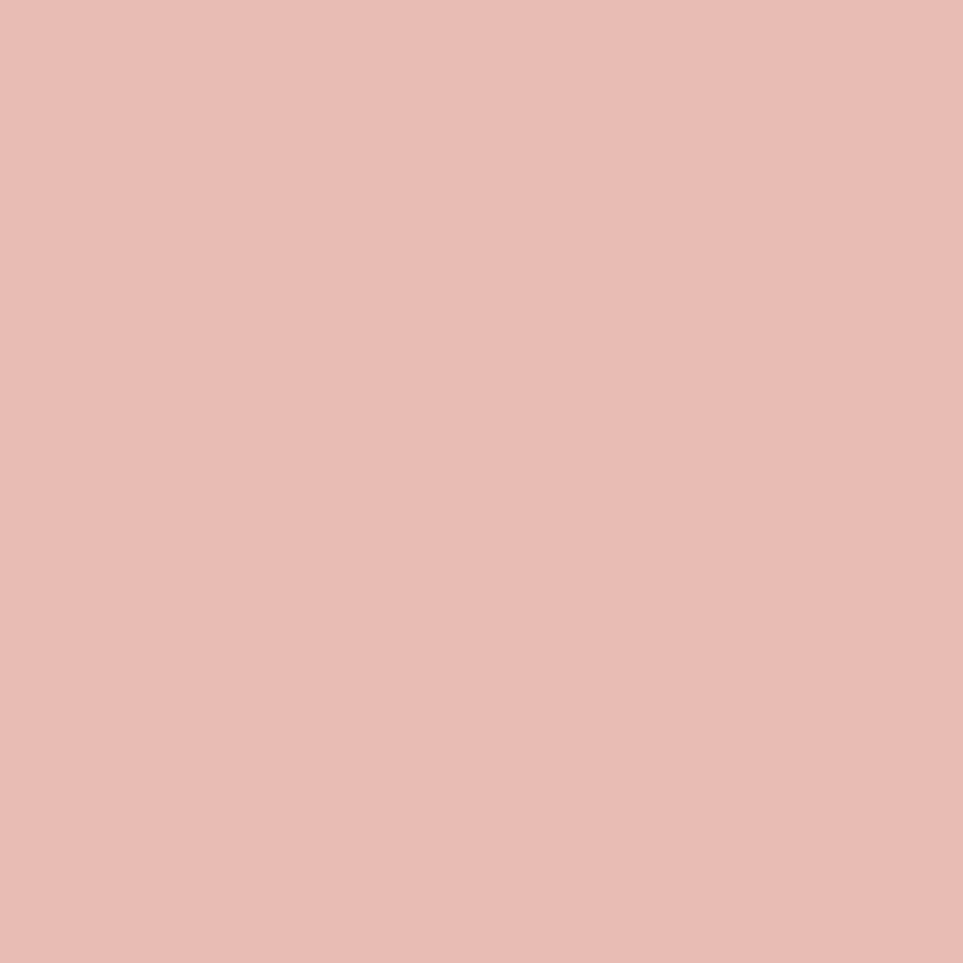 Eraser Pink Collection