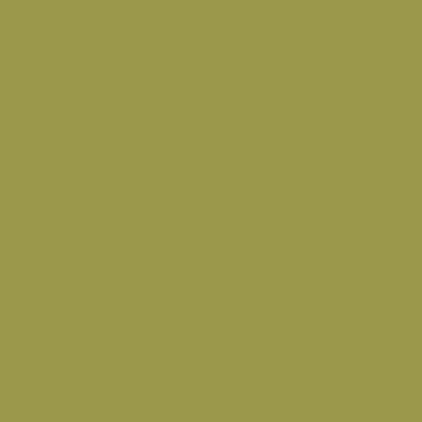 Forest Moss Collection