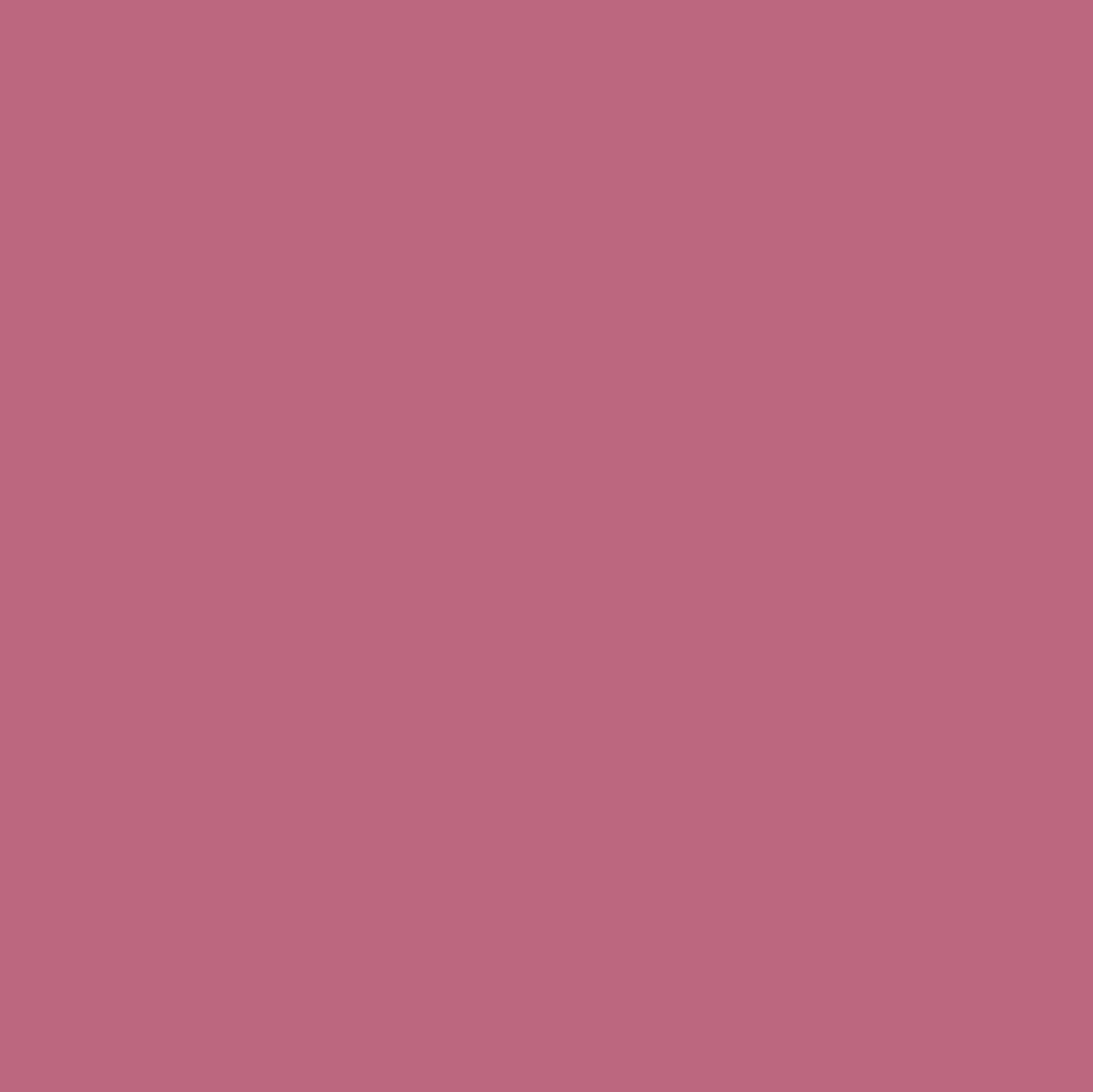 Stray Dog Pink Collection