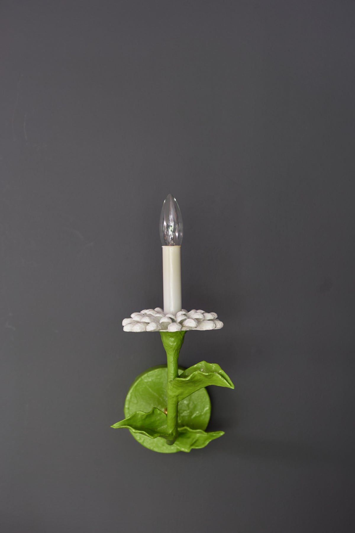 Carmen Sconce