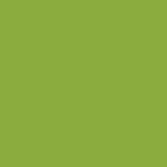 douglas fir