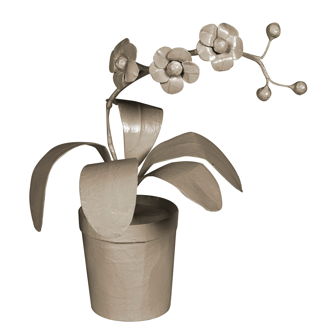 Potted Orchid in papier mache painted gray