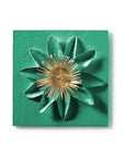 Passion Flower Wall Tile