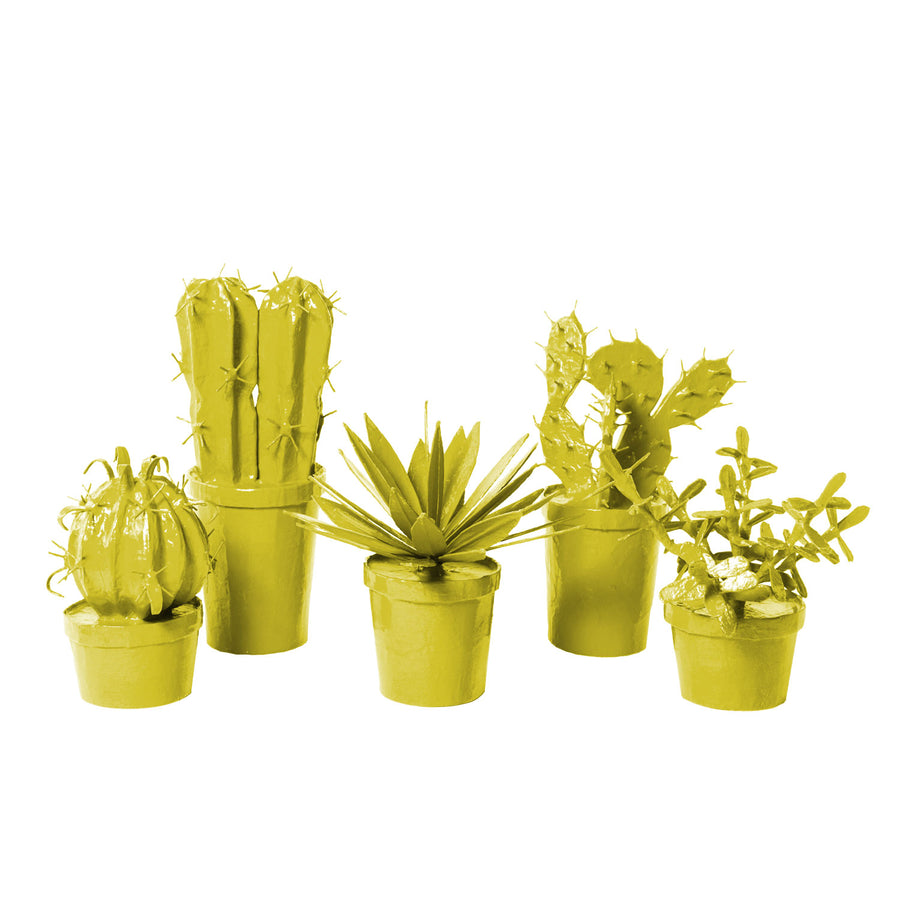 catus in pots made from papier mache