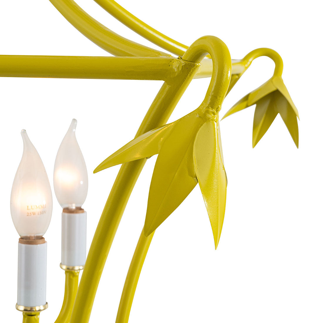 TREAT - Ella Lantern