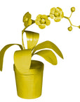 Potted Orchid made from papier mache painted chartreuse
