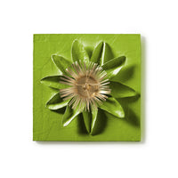 Passion Flower Wall Tile by Stray Dog designs